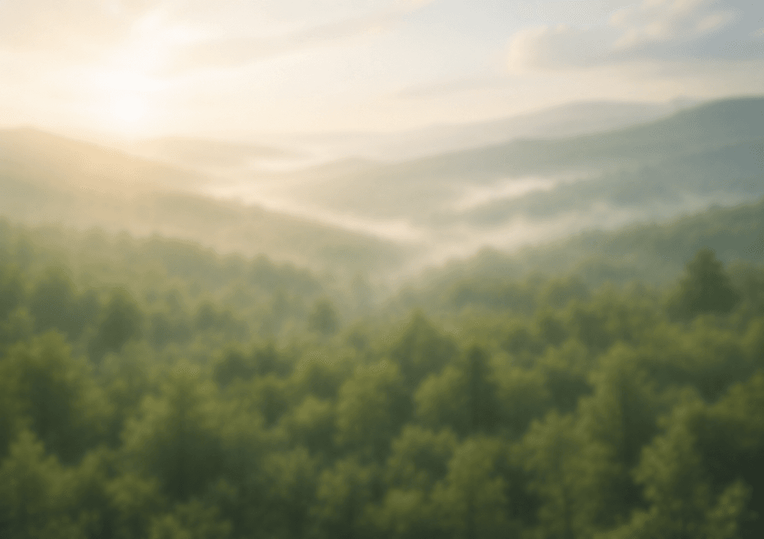 Projet Reforest I